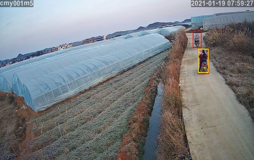 戶外草莓大棚監(jiān)控系統(tǒng)安裝
