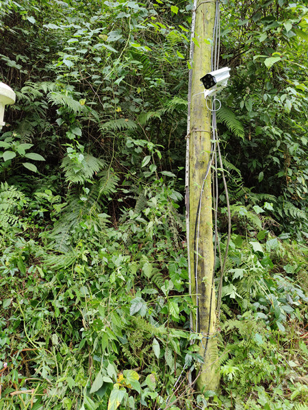 成都萬全電子|萬全電子|成都高溫橙色預警|戶外監控攝像頭安裝 成都萬全電子|萬全電子|成都高溫橙色預警|戶外監控攝像頭安裝