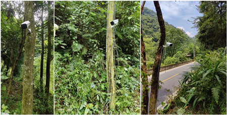 監控攝像頭|基站監控攝像頭|野外監控系統