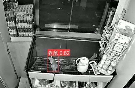 AI智能監(jiān)控算法推出新算法，老鼠再也無處可逃