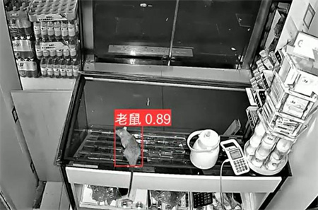 AI視頻監控能拍到老鼠？老鼠監控算法說可以