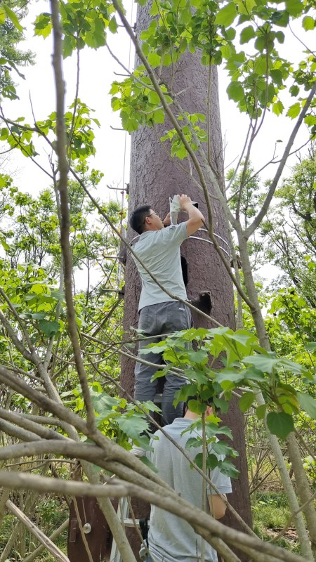 AI視頻監(jiān)控|基站監(jiān)控系統(tǒng)|戶(hù)外監(jiān)控安裝