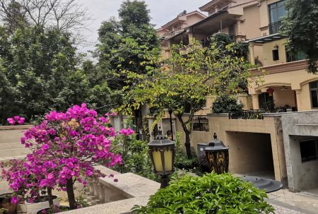 小區(qū)屢被“光顧”，居家安全小區(qū)安防請多加重視